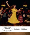 VIEW SALON INTRO 62 sävyä