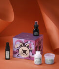 DISCOVER KIT 2026 travel love sh, ha, OI milk, BT mask - HOLIDAY 26